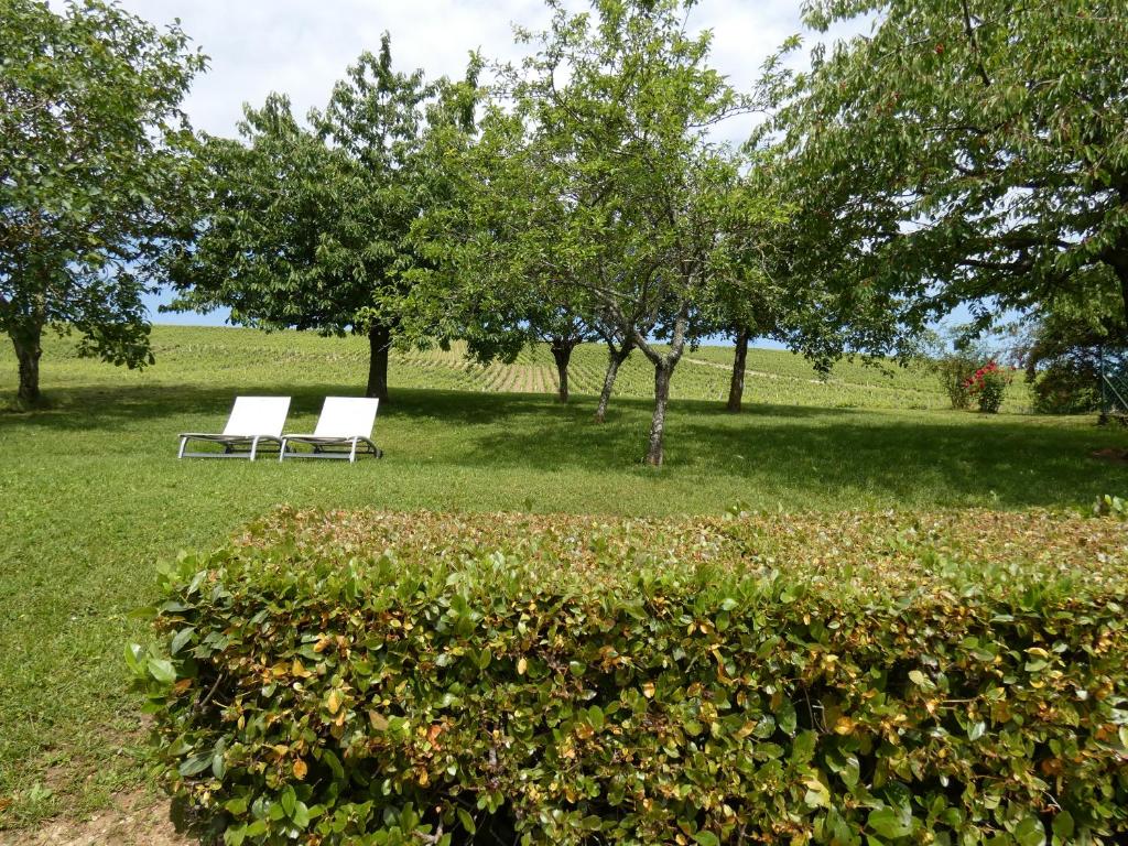 Gite Des Vignes photo 1