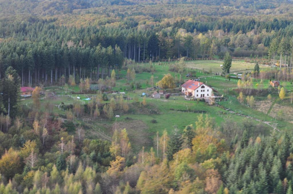 "La Belle Chambre" dans une ferme avec etang privé dans la région des Mille Etangs Faucogney-et-La-Mer photo 3