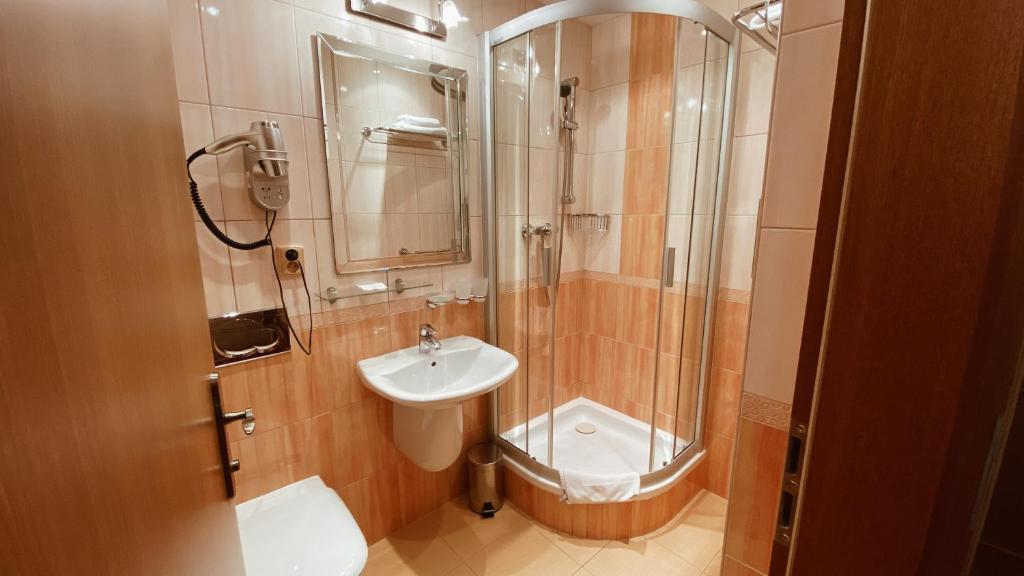 Одноместный (Одноместный номер с ванной комнатой), Aksania Hotel