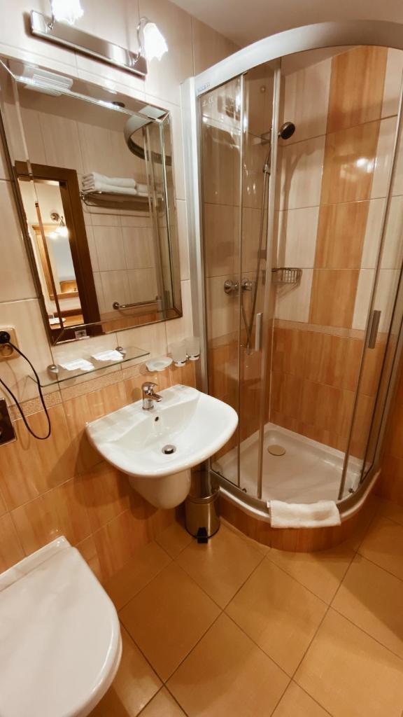 Одноместный (Одноместный номер с ванной комнатой), Aksania Hotel