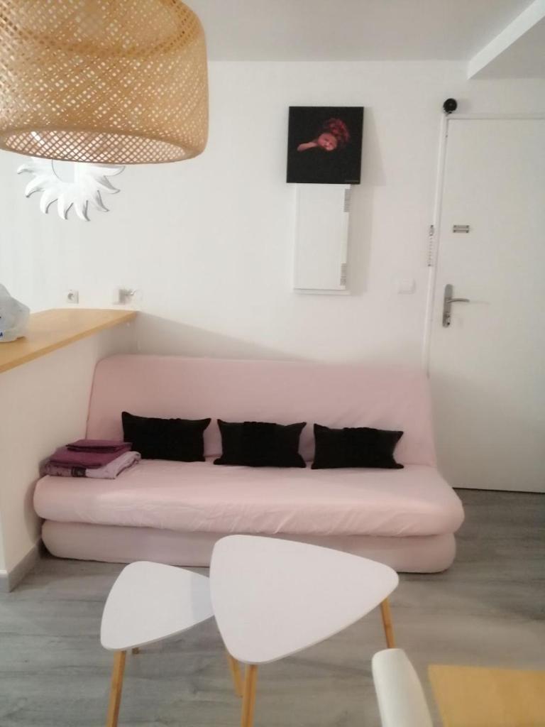 Appartement complet, hyper centre d’Auxerre. photo 2