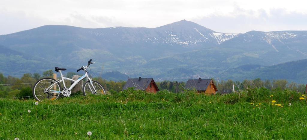 Domki Sowi Kamień photo 4
