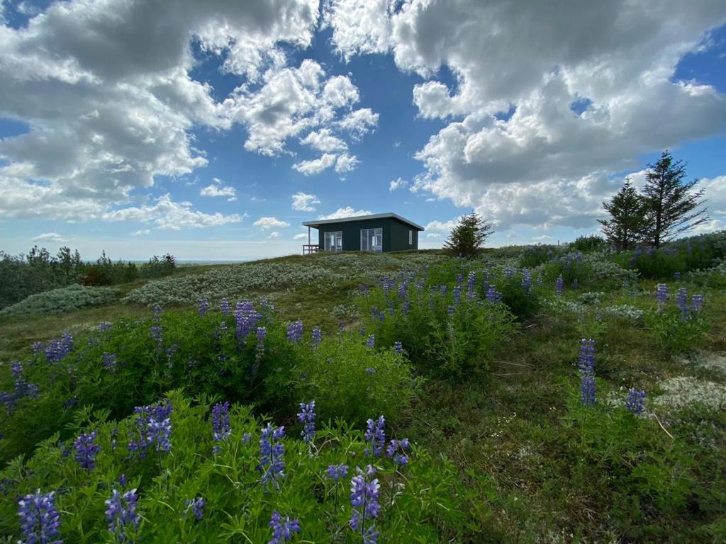 Skeiðvellir Panorama house photo 3