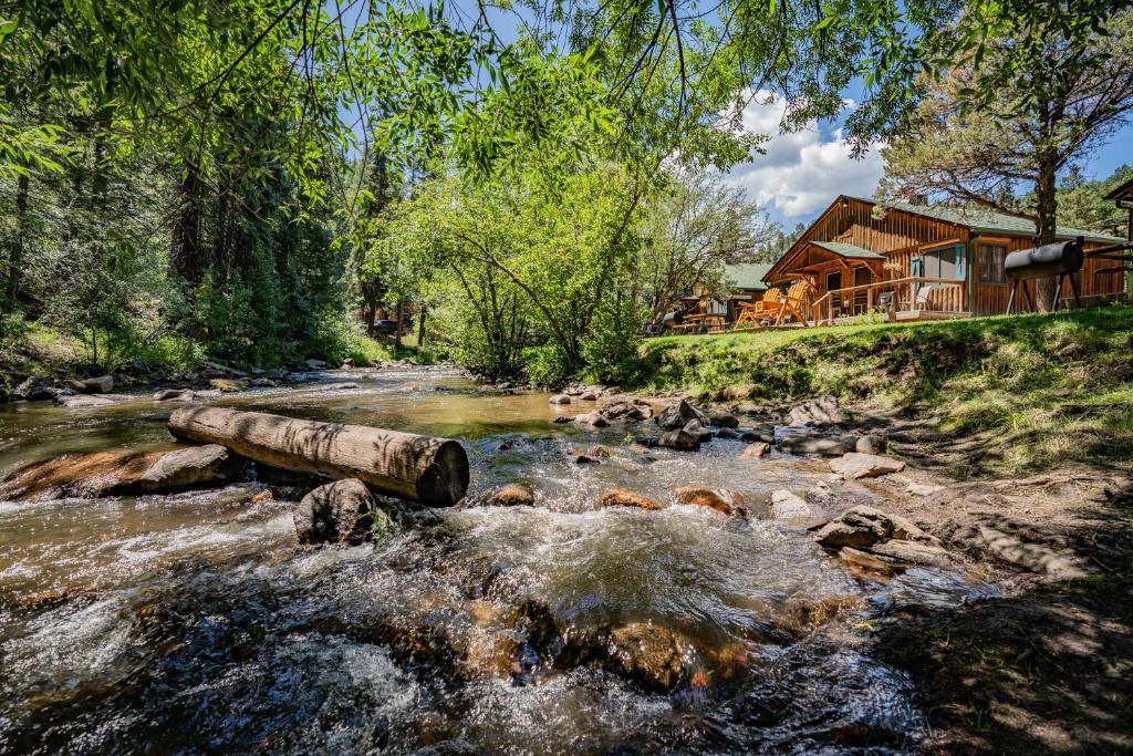 Colorado Bear Creek Cabins image