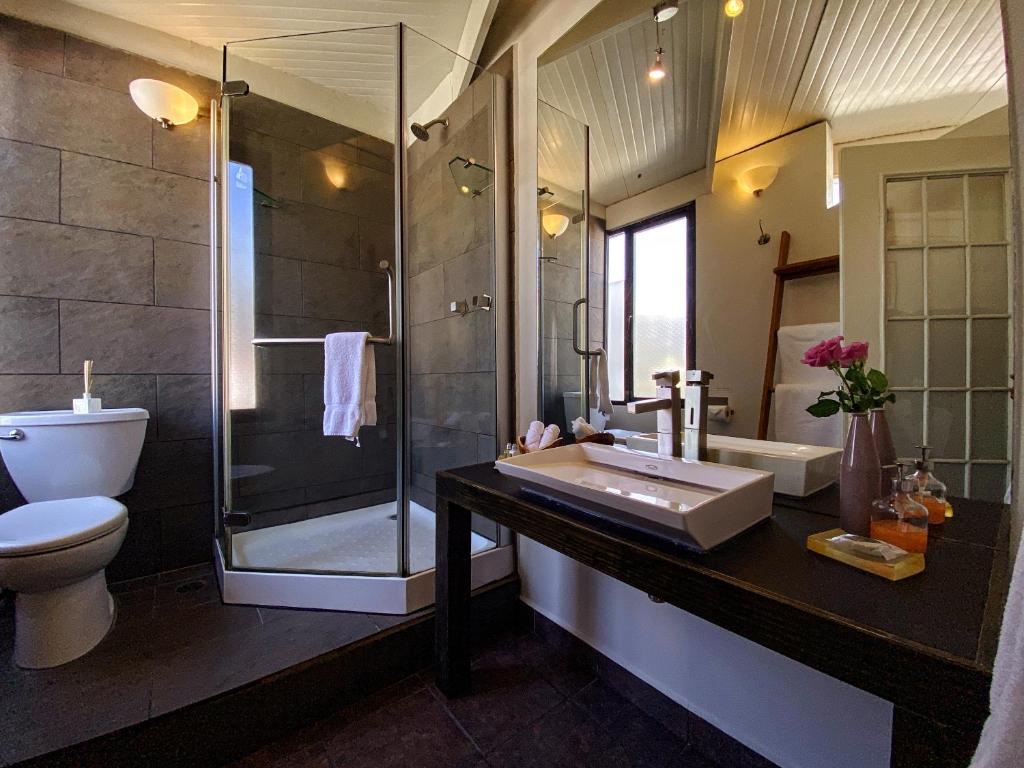 Сьюит (Люкс), Hotel Villa Condesa