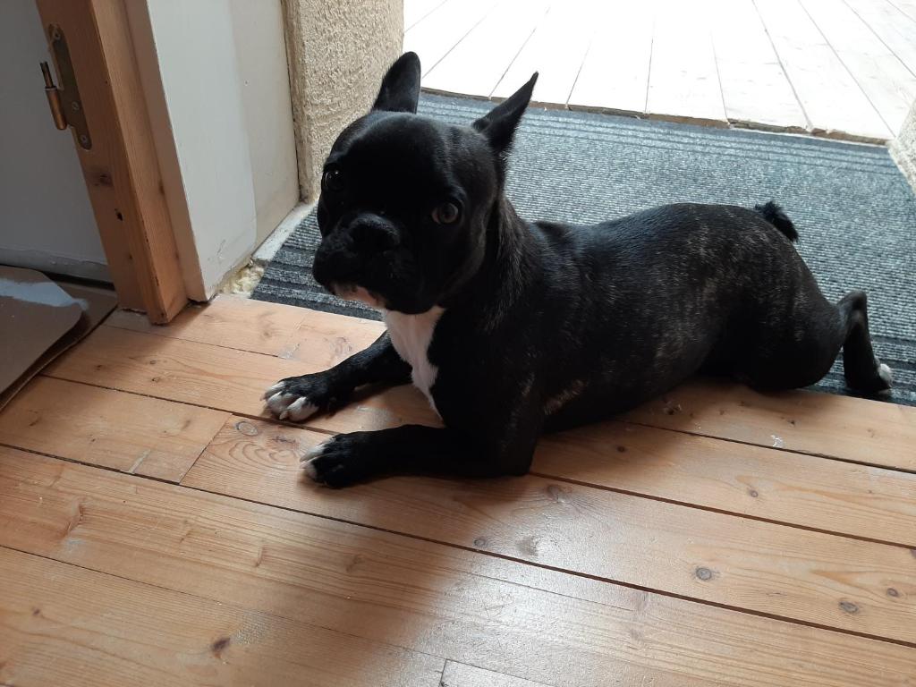 La Mirabelle photo 2