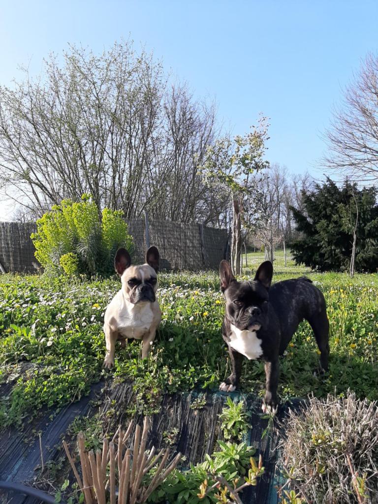 La Mirabelle photo 1
