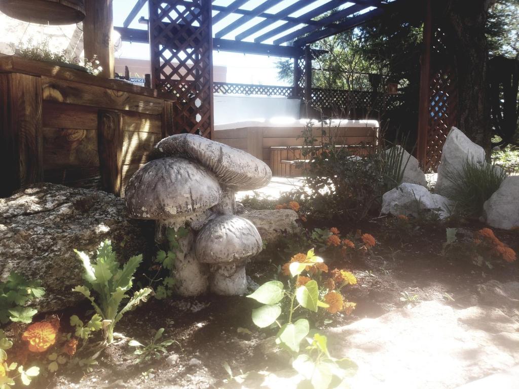 Browns Canyon Inn photo 3