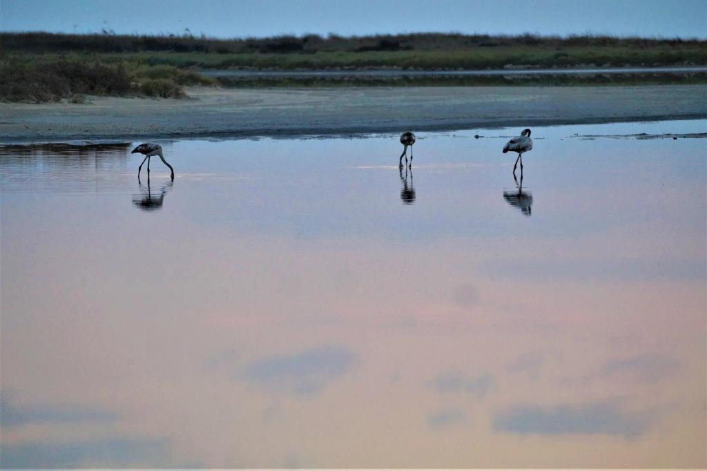 Infinite Blue, Horizon, Elegance, Hospitality photo 1