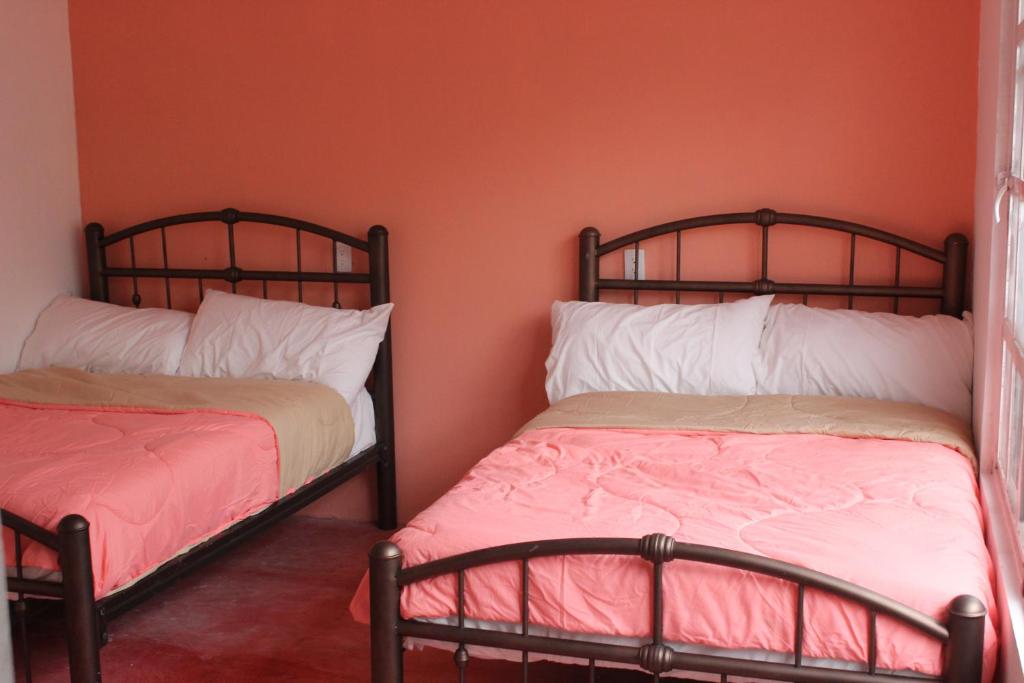Sukha Hostel Xilitla photo 2