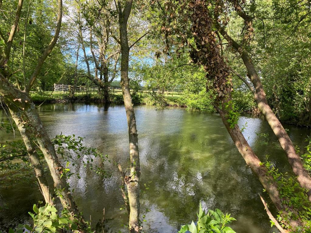 La Maison de l'Etang photo 2
