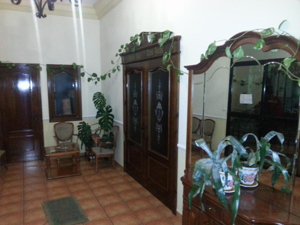Hostal las Tres Jotas photo 3