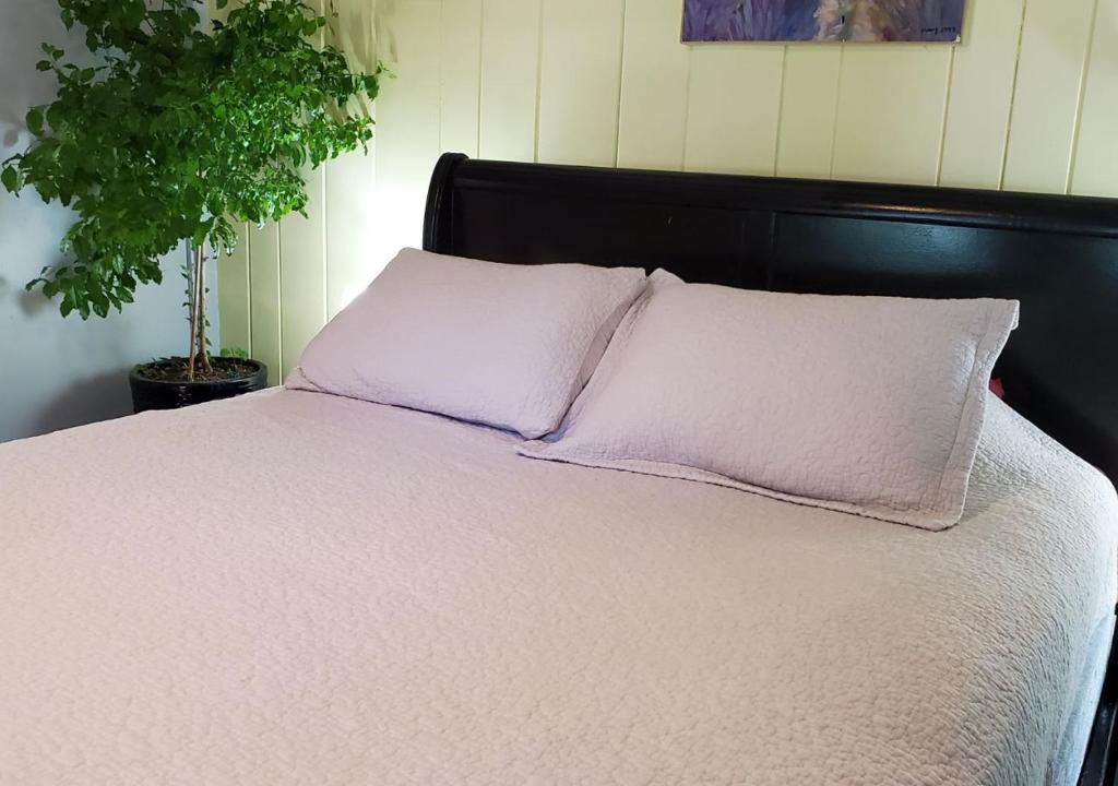 Rugosa Guest House photo 4