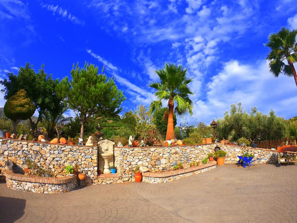 Casa La Araucaria photo 4