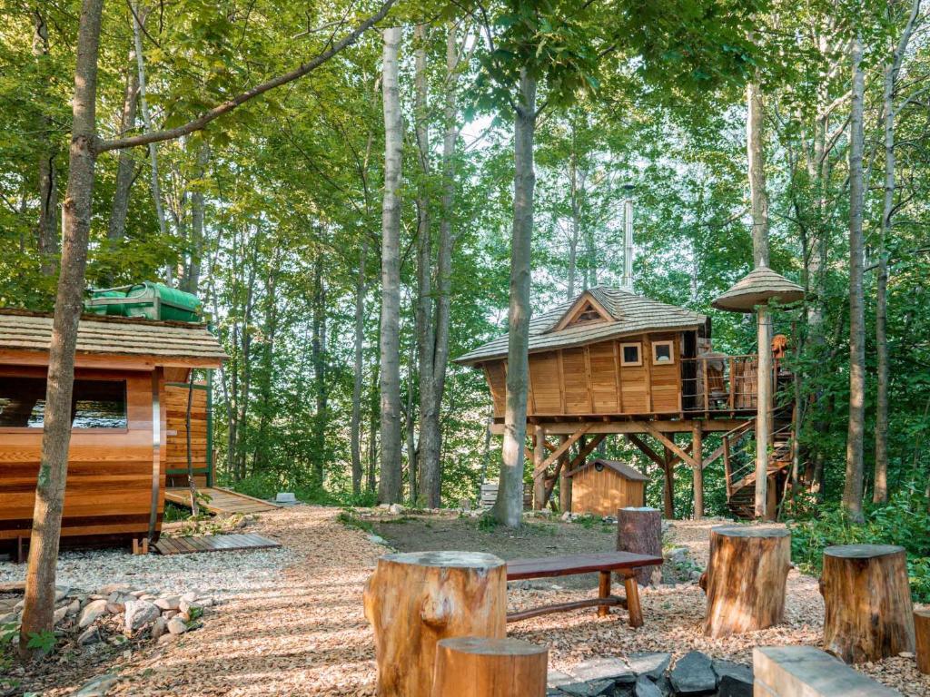 Treehous Sněžník s wellness photo 1