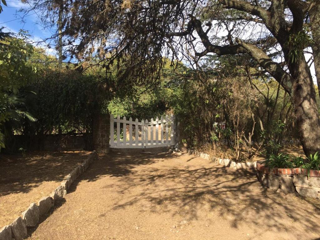 Villa Anedé photo 3