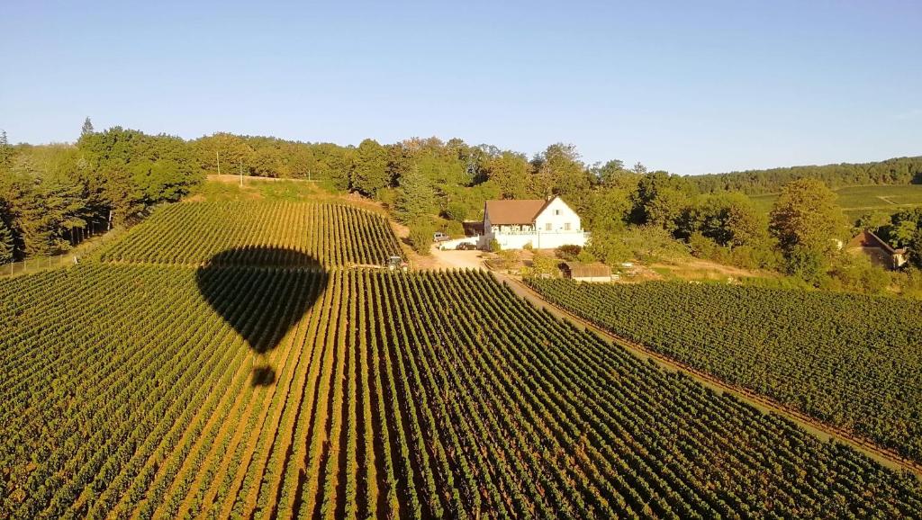 Le Mont Laurent photo 1