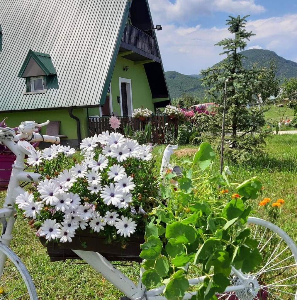 Villa Jasikovac photo 1