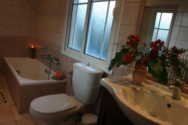 Corfu Aegli appartments photo 1