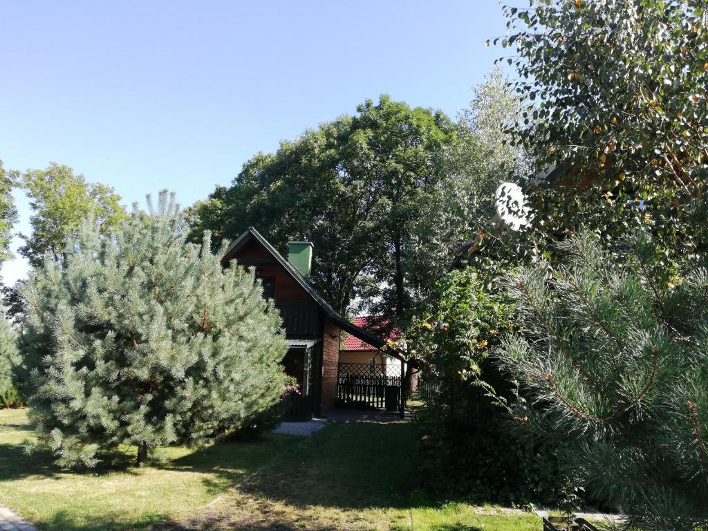 Sosnowa Oaza photo 4