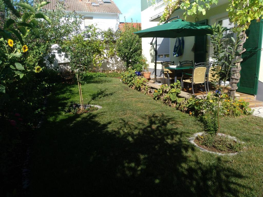 Kakteengarten photo 1