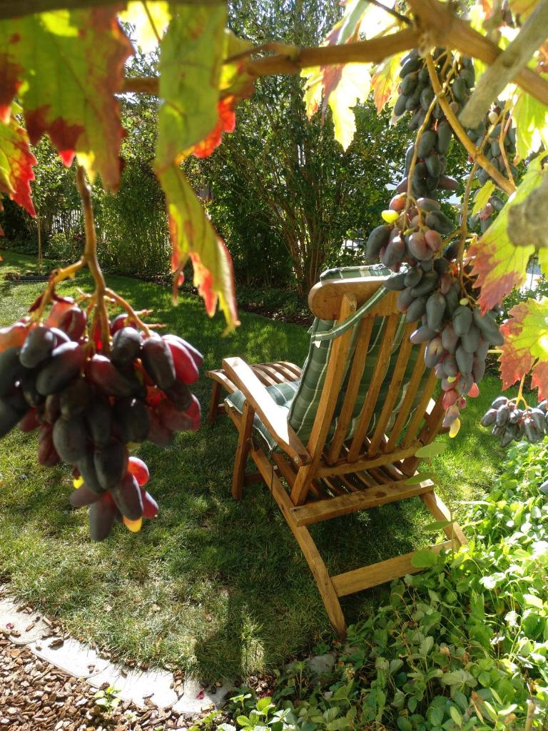 Kakteengarten photo 4
