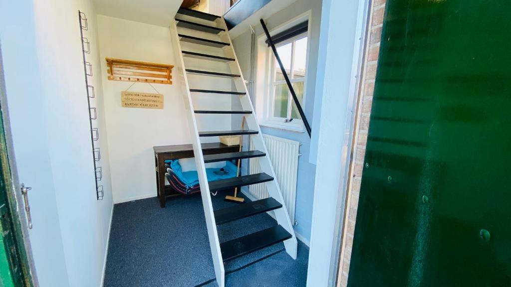 Studio Burg.bosselaarstraat photo 3