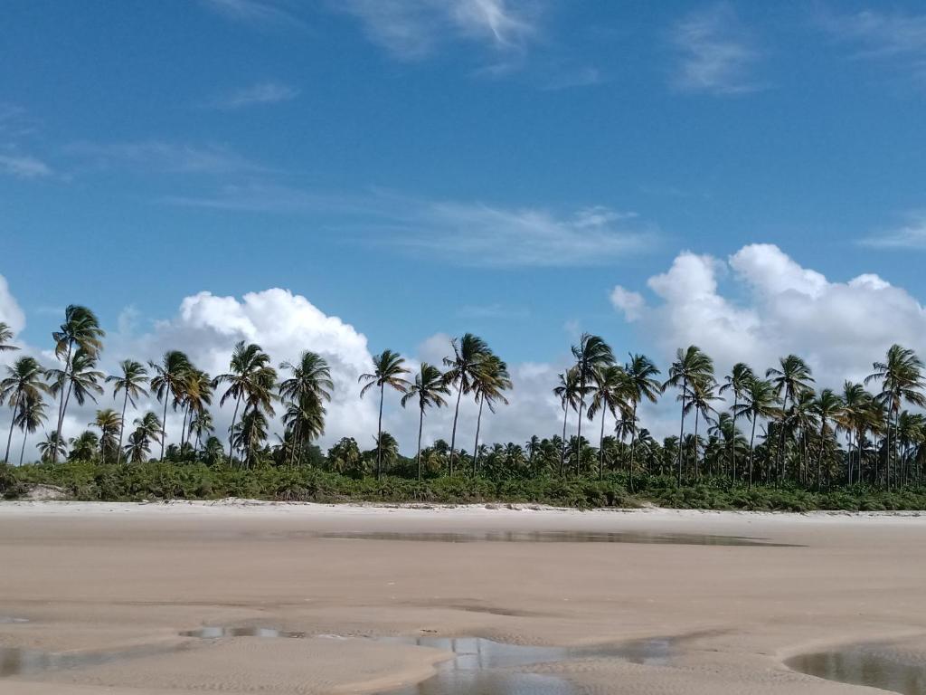 Cantinho da Paz photo 3