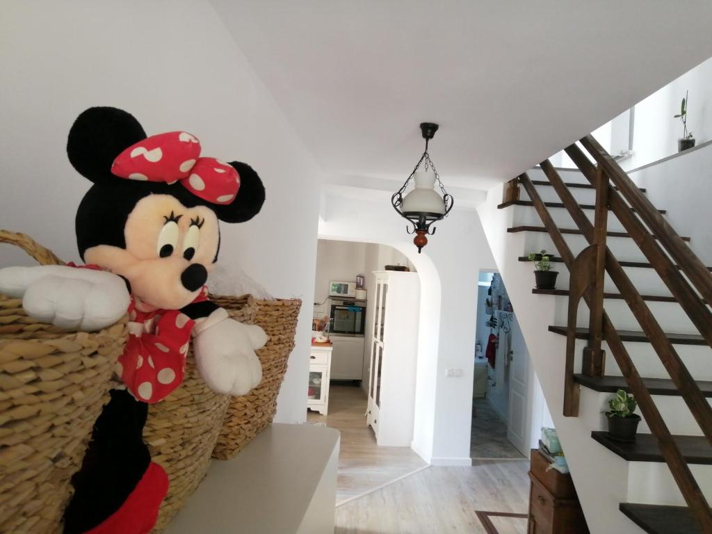 Casa Scheiana photo 4
