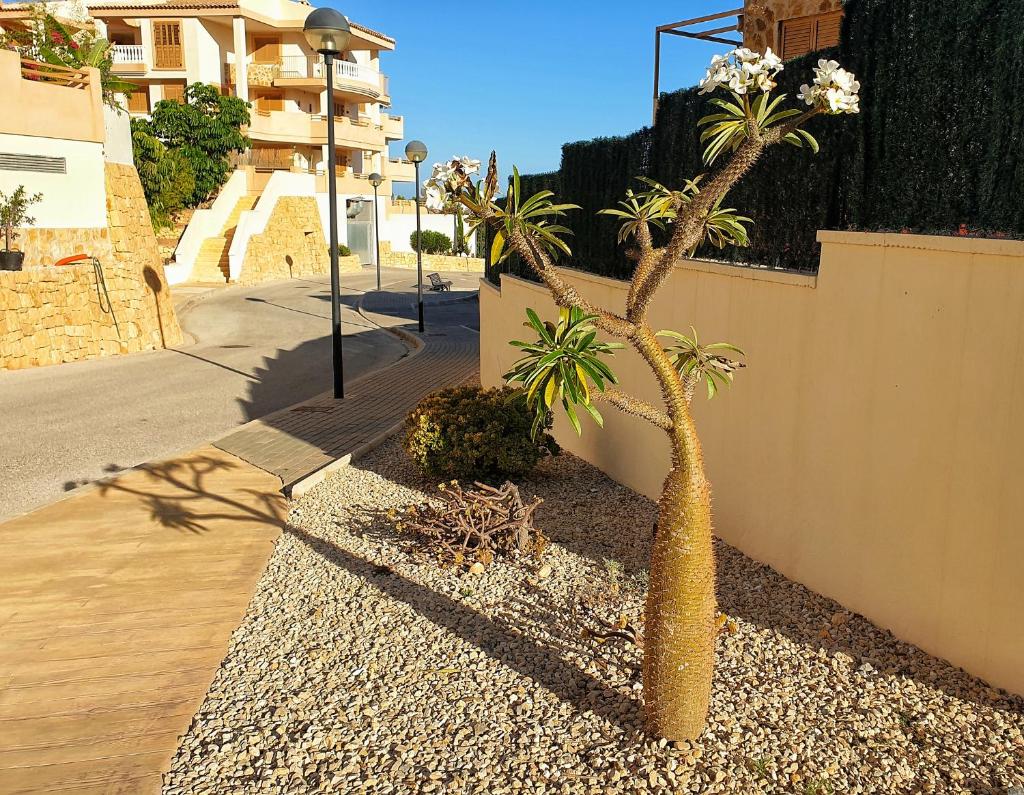 Casa Cerezos photo 1