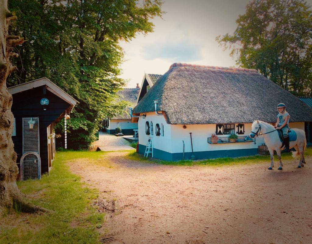 Bakhuisje op de Veluwe photo 1