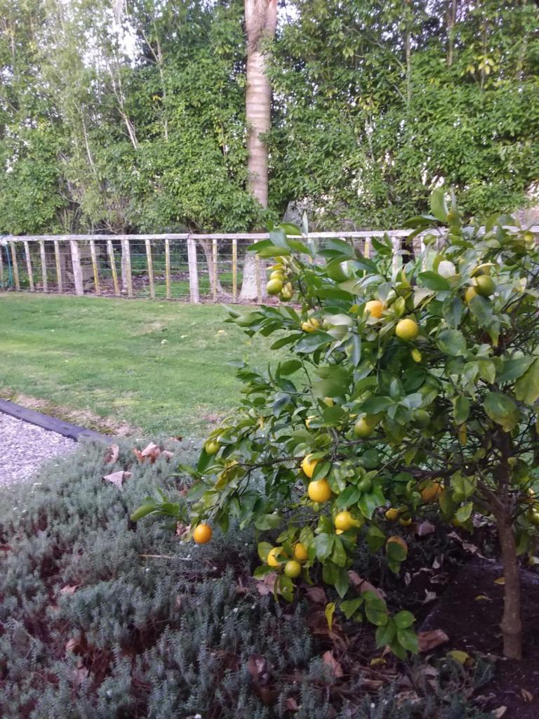 Karapiro Willows Luxury B & B photo 1