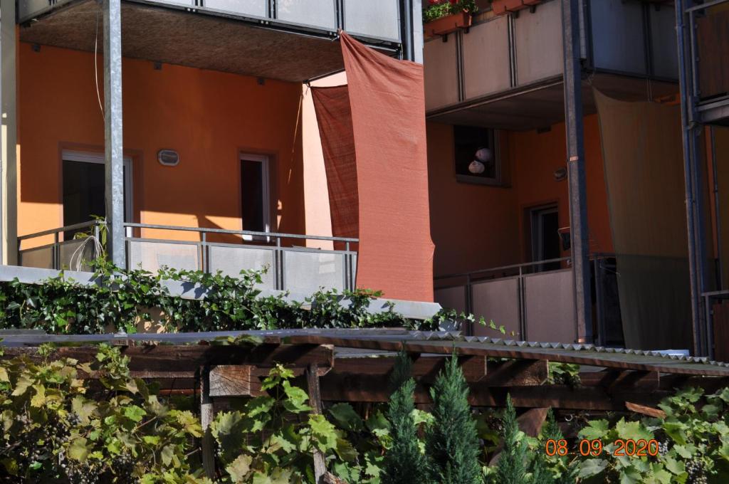 Pension Di Pino photo 1