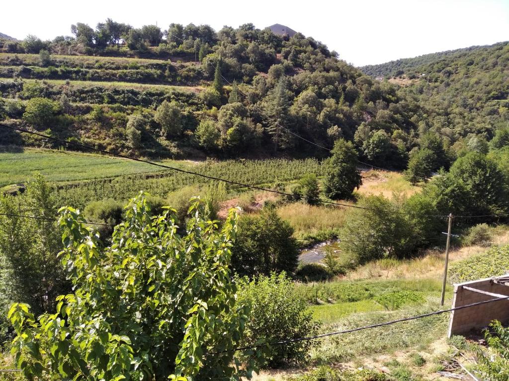 Gîte en Cévennes photo 1