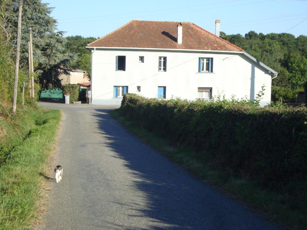 53Bou photo 2