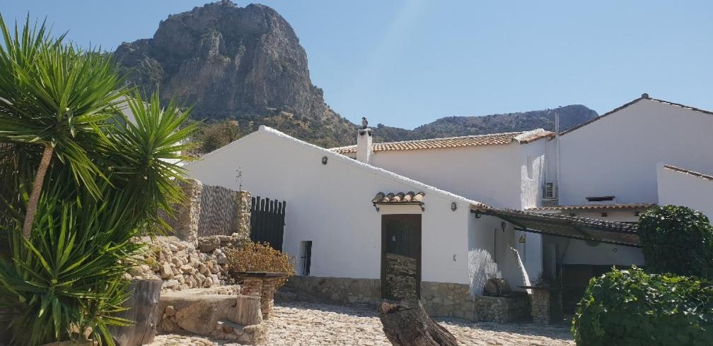 Cortijo El Pajar photo 2
