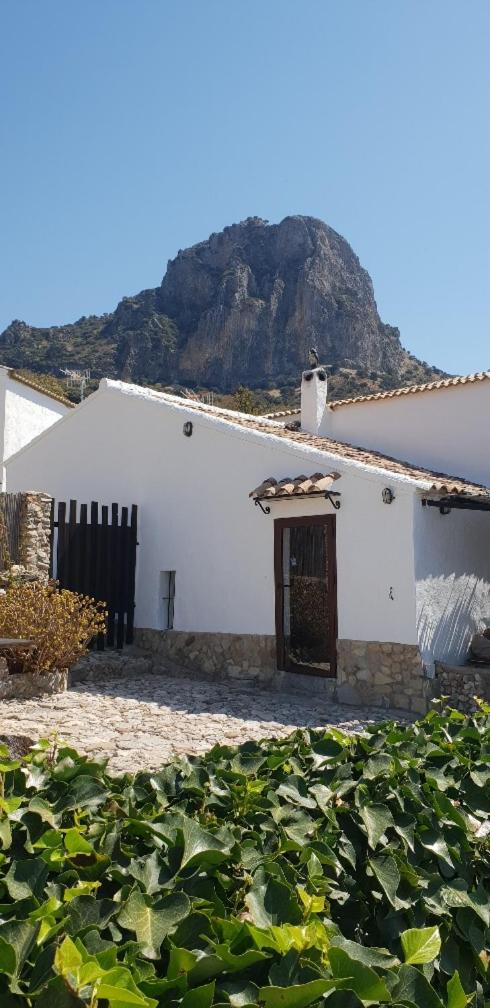 Cortijo El Pajar photo 3