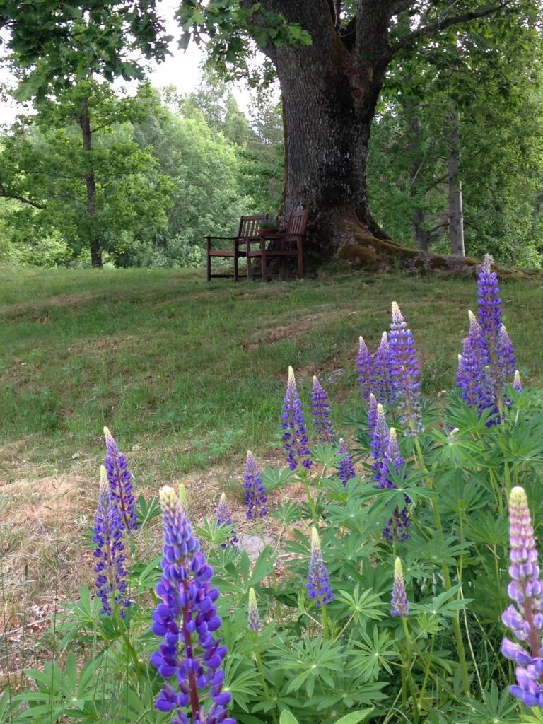 Skålleruds Gård photo 1