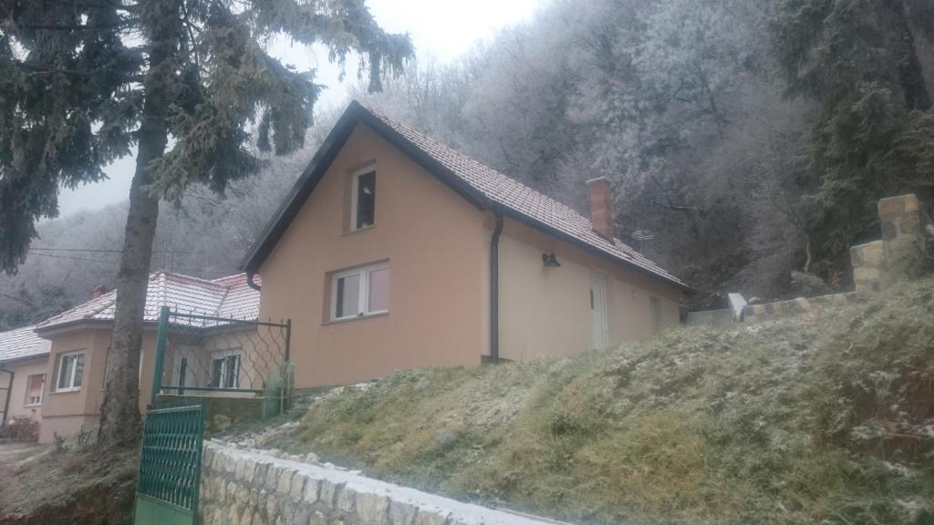 Zlatica photo 1
