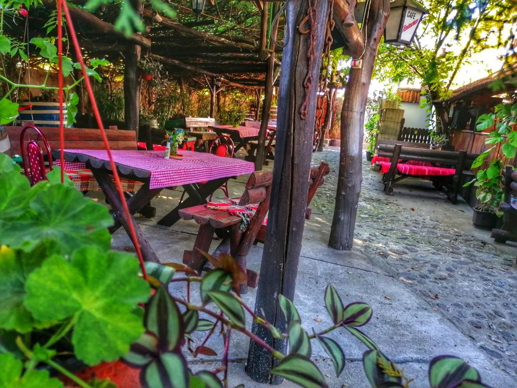 Etno Apartmani ''Vlaška kuća'' photo 4