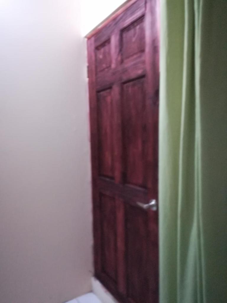 Belis photo 3