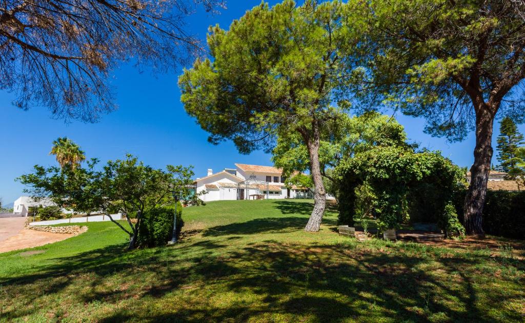 Cortijo Boutique Marbella photo 2