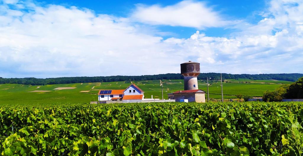 Au Bouchon Champenois photo 2