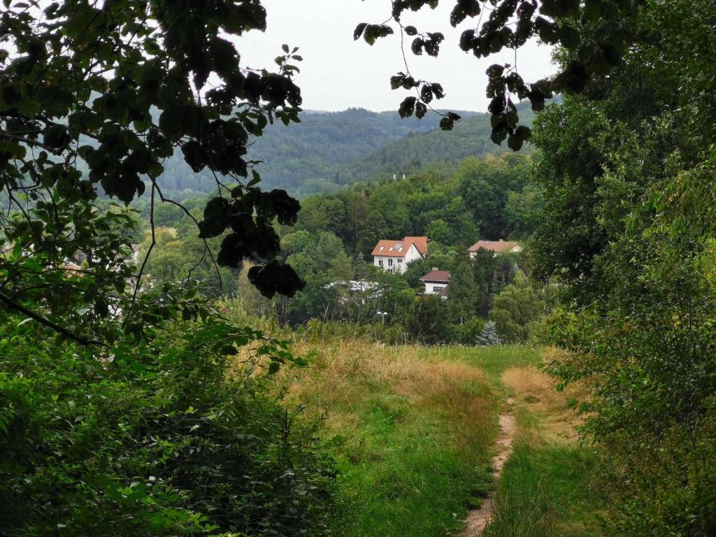 Haus Froehlich photo 4
