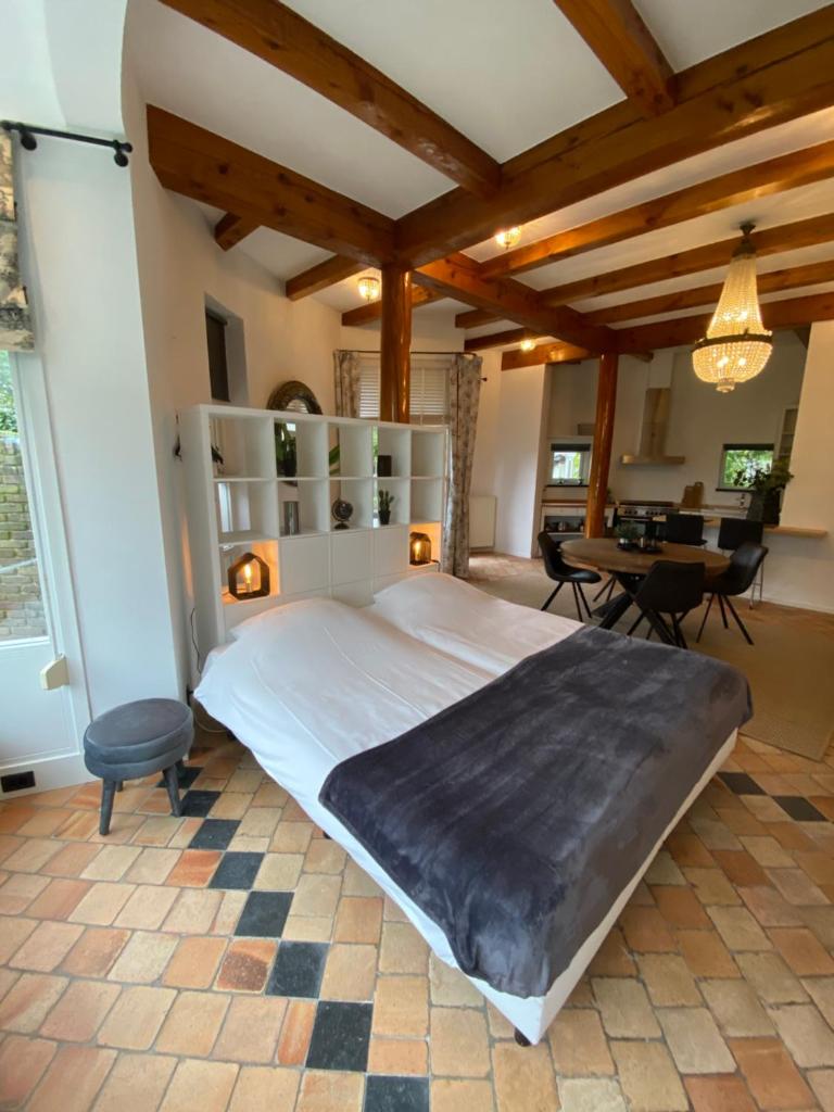 Студио (Двухместный номер-студио Делюкс с 1 кроватью), Waterlodges Hajé de Lepelaar