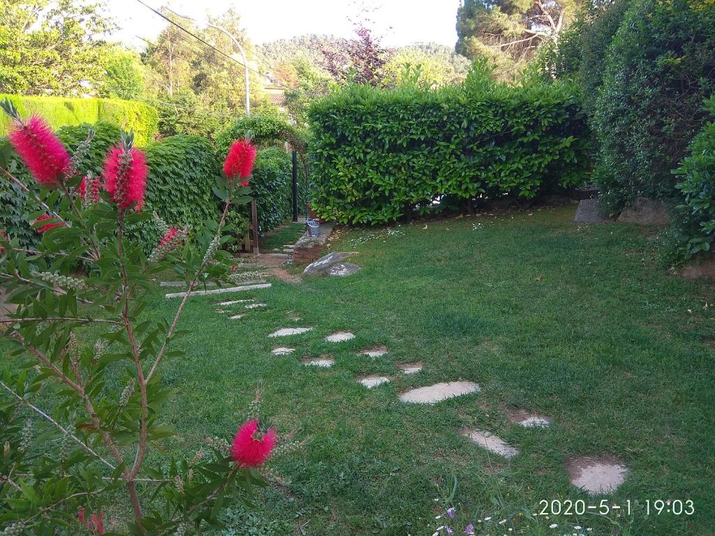 B&B Inés photo 2
