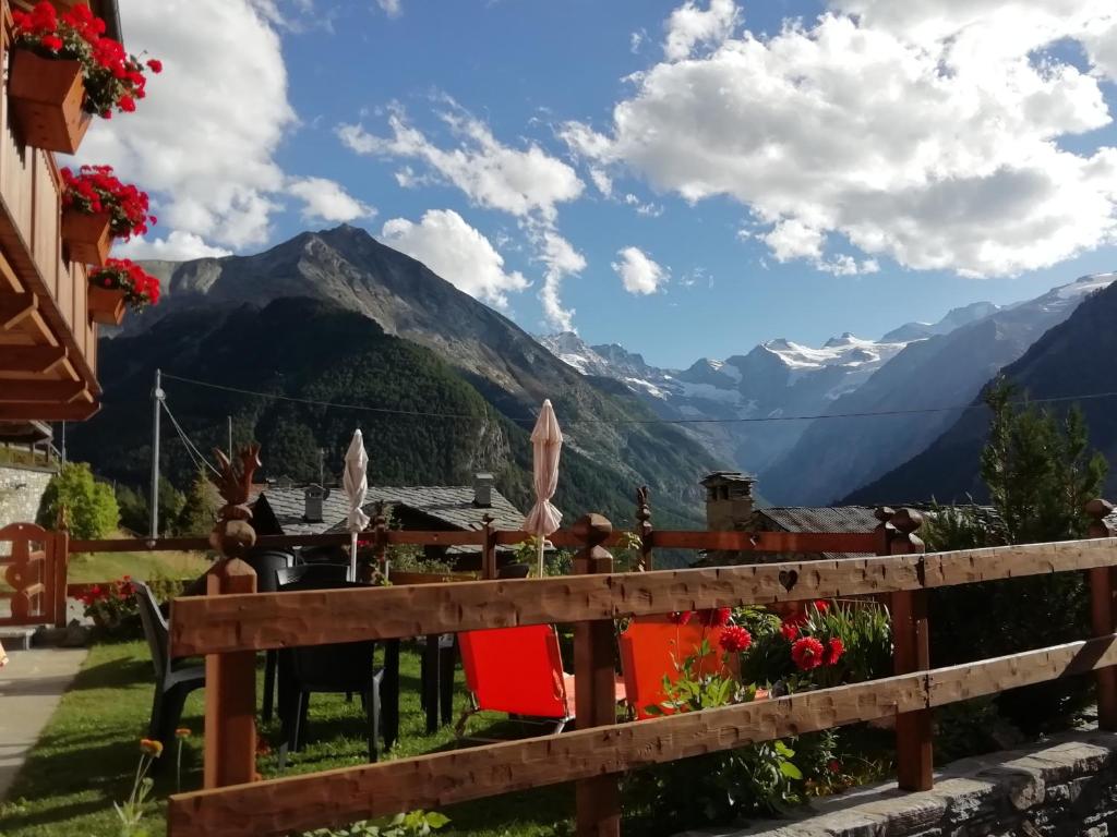 Petites Fleurs Cogne photo 1