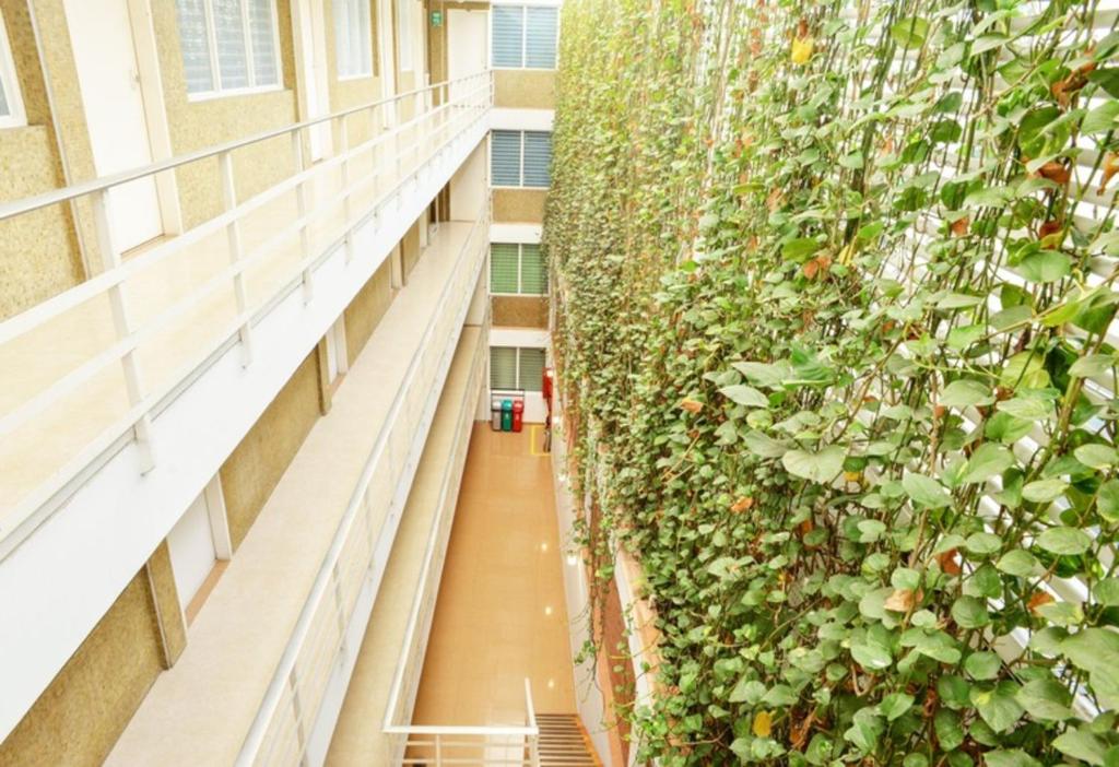 Hotel Thama photo 1