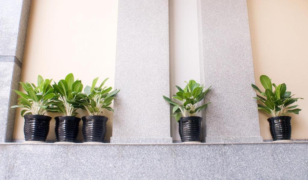 Khách sạn Đông Đô