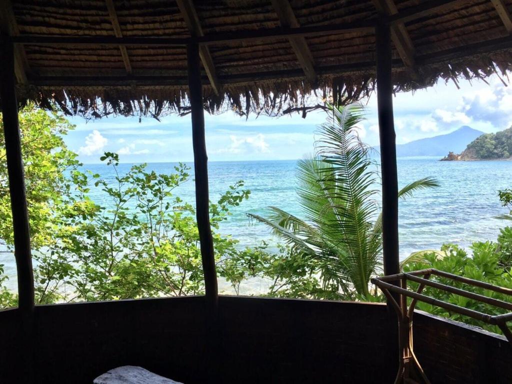 Rimba Resort - Dive Centre & Spa photo 1